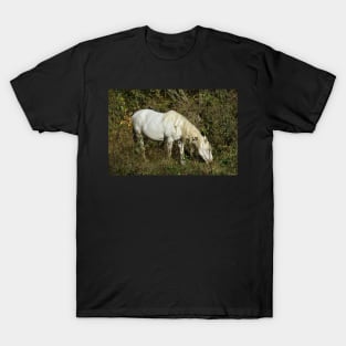 Wild Horse T-Shirt